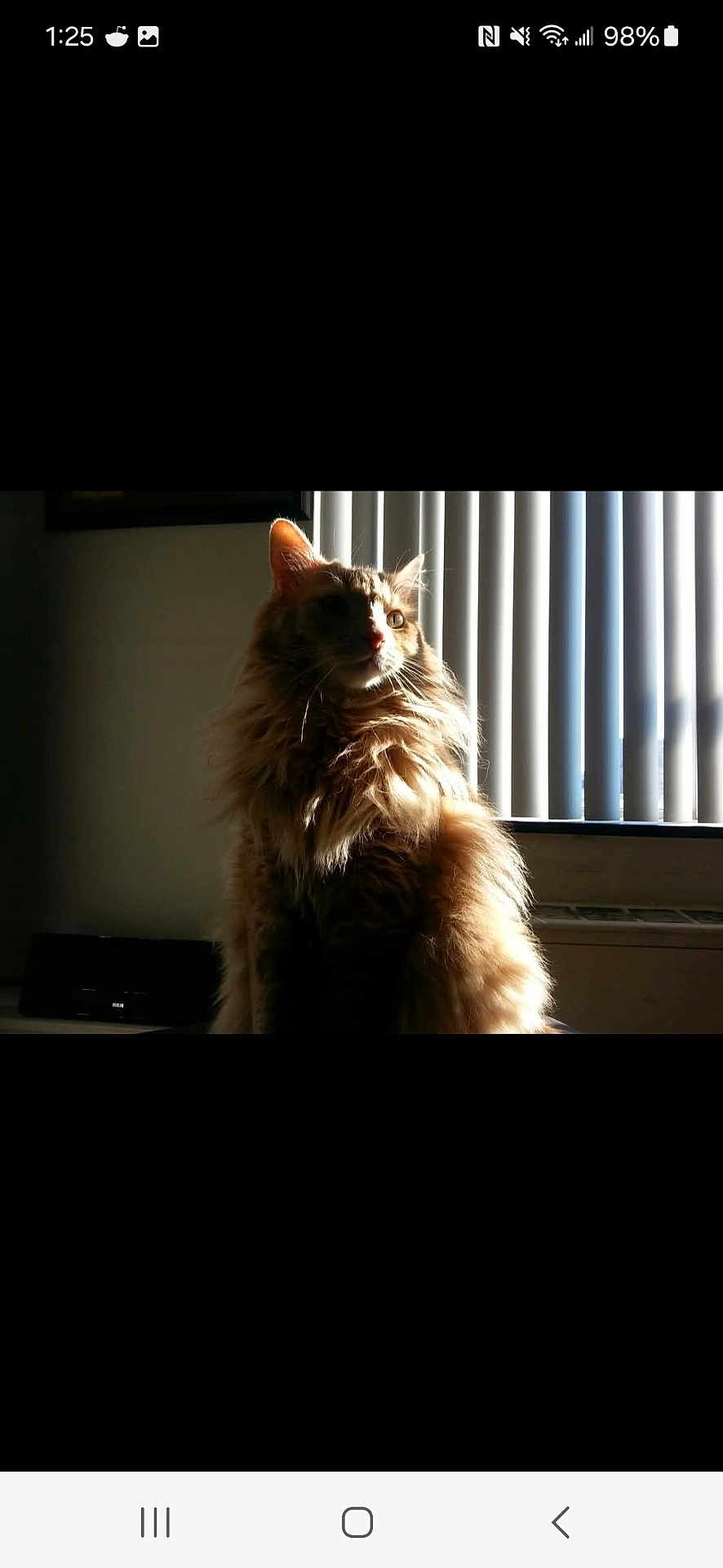 Buster