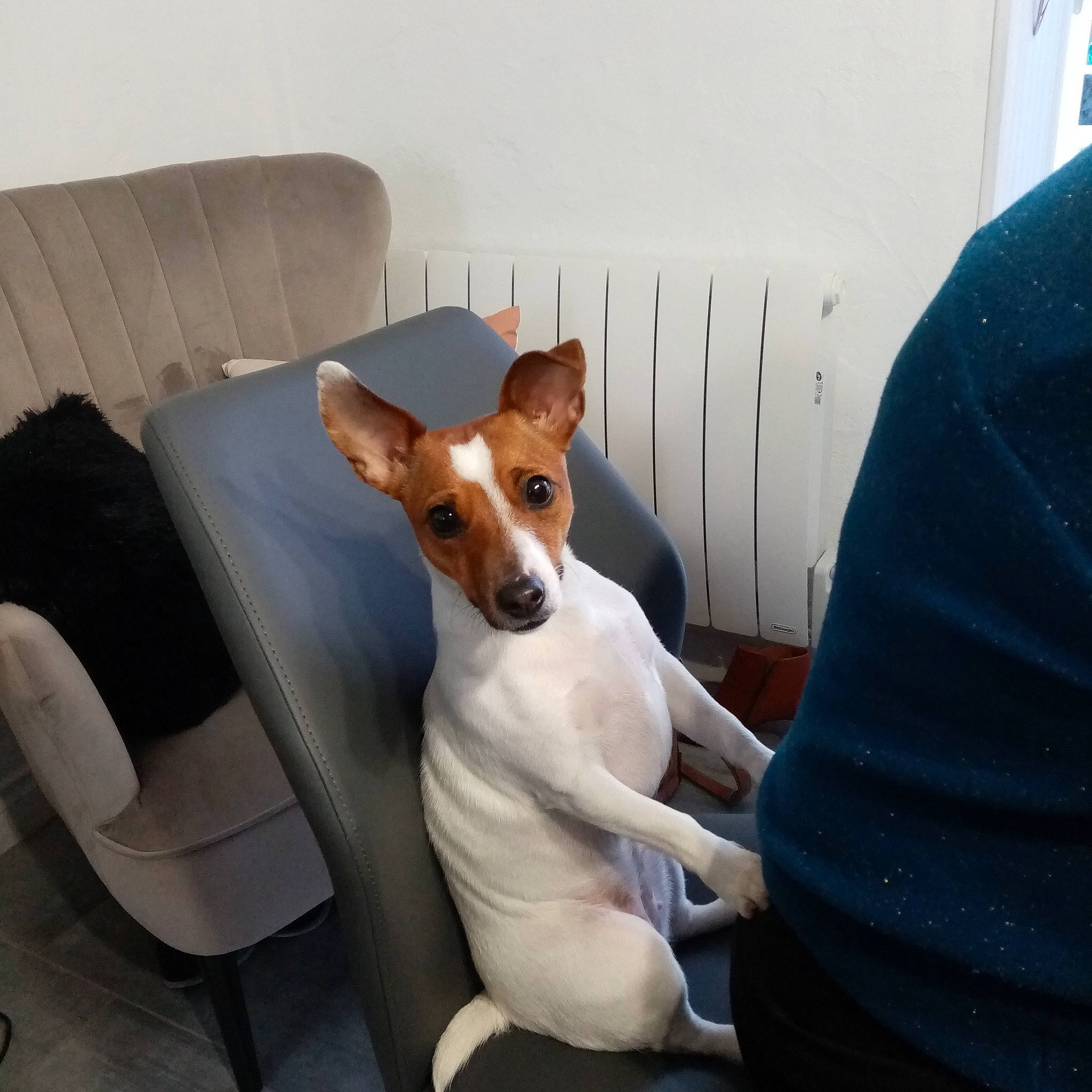 Nala