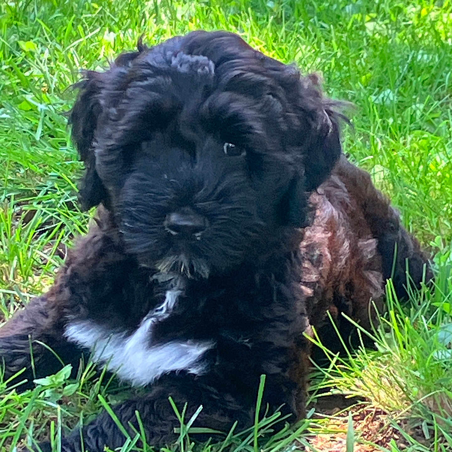 Ruby