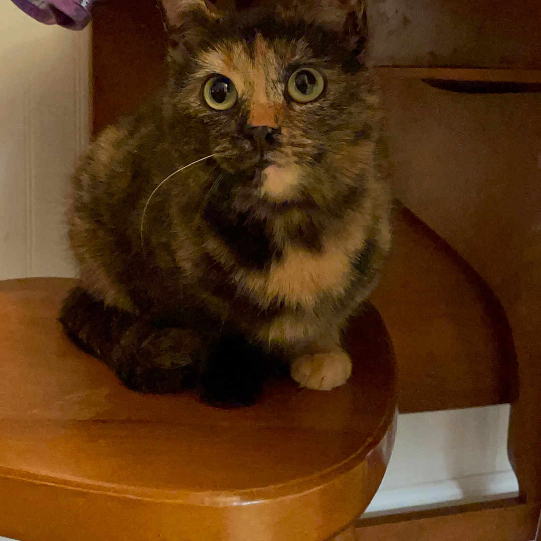 Minnie