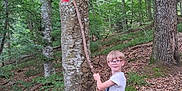 Tomy a rejoint le concours — aidez-le/la à gagner de superbes lots ! adventure, boy, casual_clothing, child, curious, forest, glasses, greenery, hiking, leaves, moss, nature, outdoor, standing, stick, trail_marker, tree, trunk, woods, young