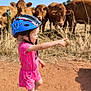 Mya a rejoint le concours — aidez-le/la à gagner de superbes lots ! animal, child, cows, curious, daytime, dirt_path, fence, footwear, grass, helmet, livestock, nature, outdoor, person, pink_clothing, pointing, rural, summer, sunny, toddler