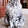 Pushkin