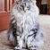 Pushkin