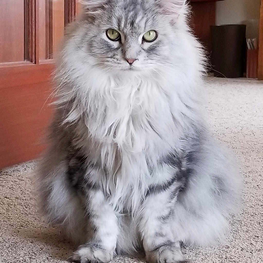 Pushkin