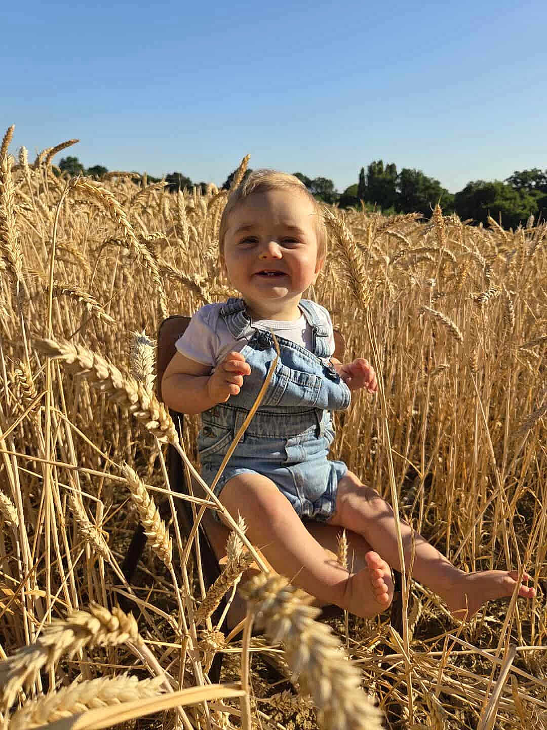 Manoé participe au concours pour gagner de l'argent avec cette photo : toddler, child, wheat_field, outdoor, sunlight, denim_overalls, barefoot, smile, chair, nature, blue_sky, grass, happy, summer, field, portrait, plant, young_child, daylight, countryside