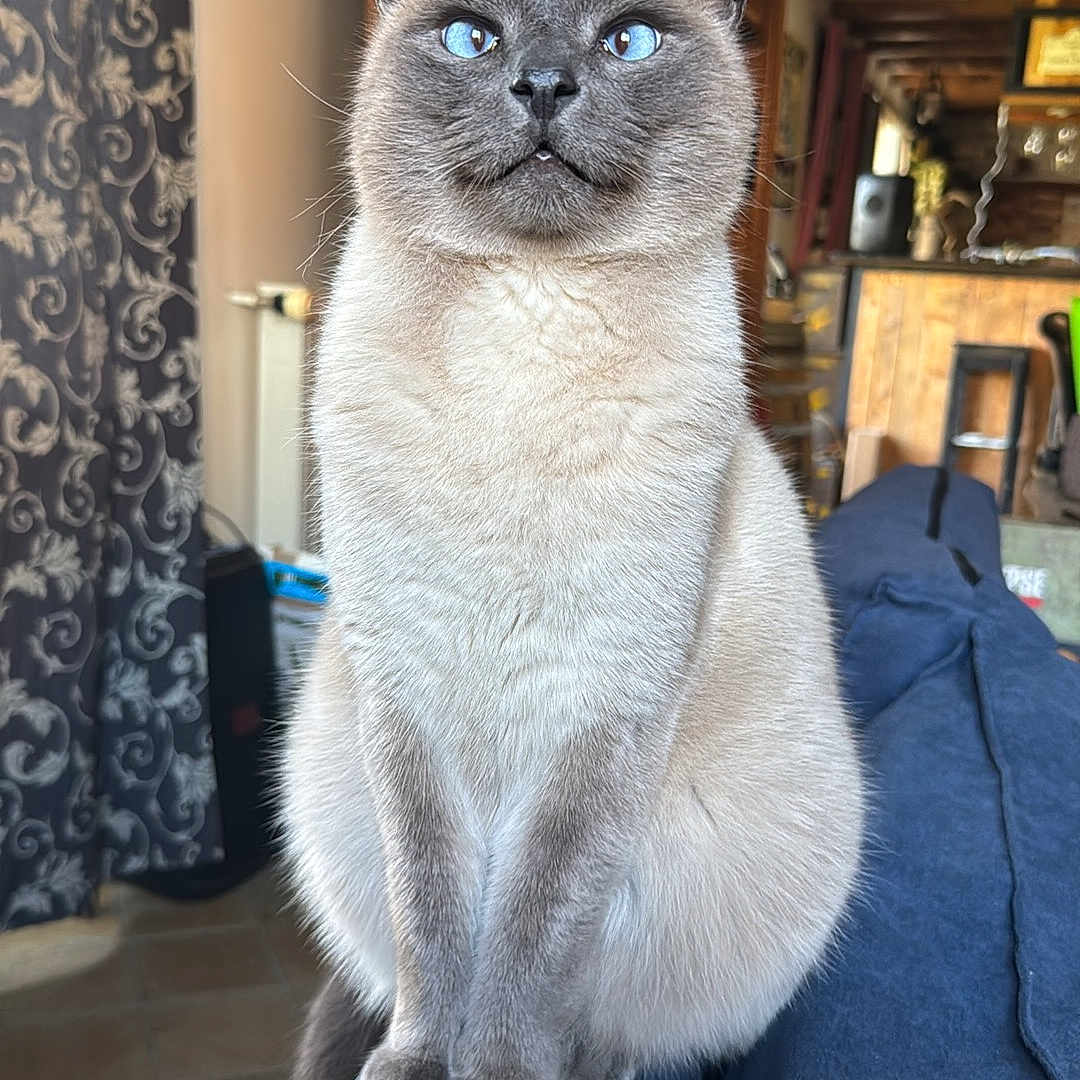 Bobby