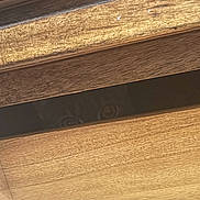 Ivy joined the competition — help win amazing prizes! animal, background, brown, closeup, curious, dark, dog, eyes, gap, hidden, looking, mystery, nature, peeking, pet, playful, snout, texture, wood, wooden_slats