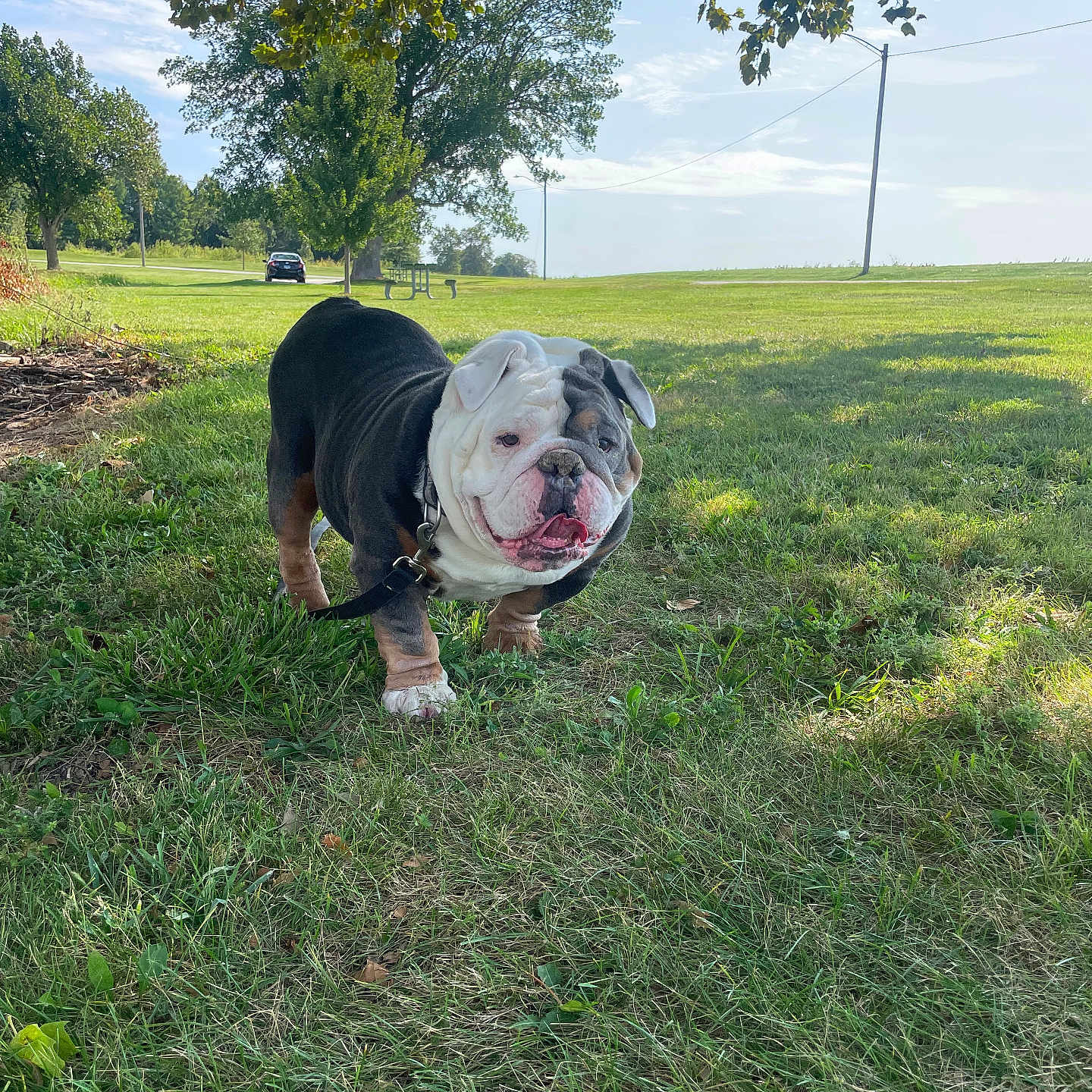 Winston