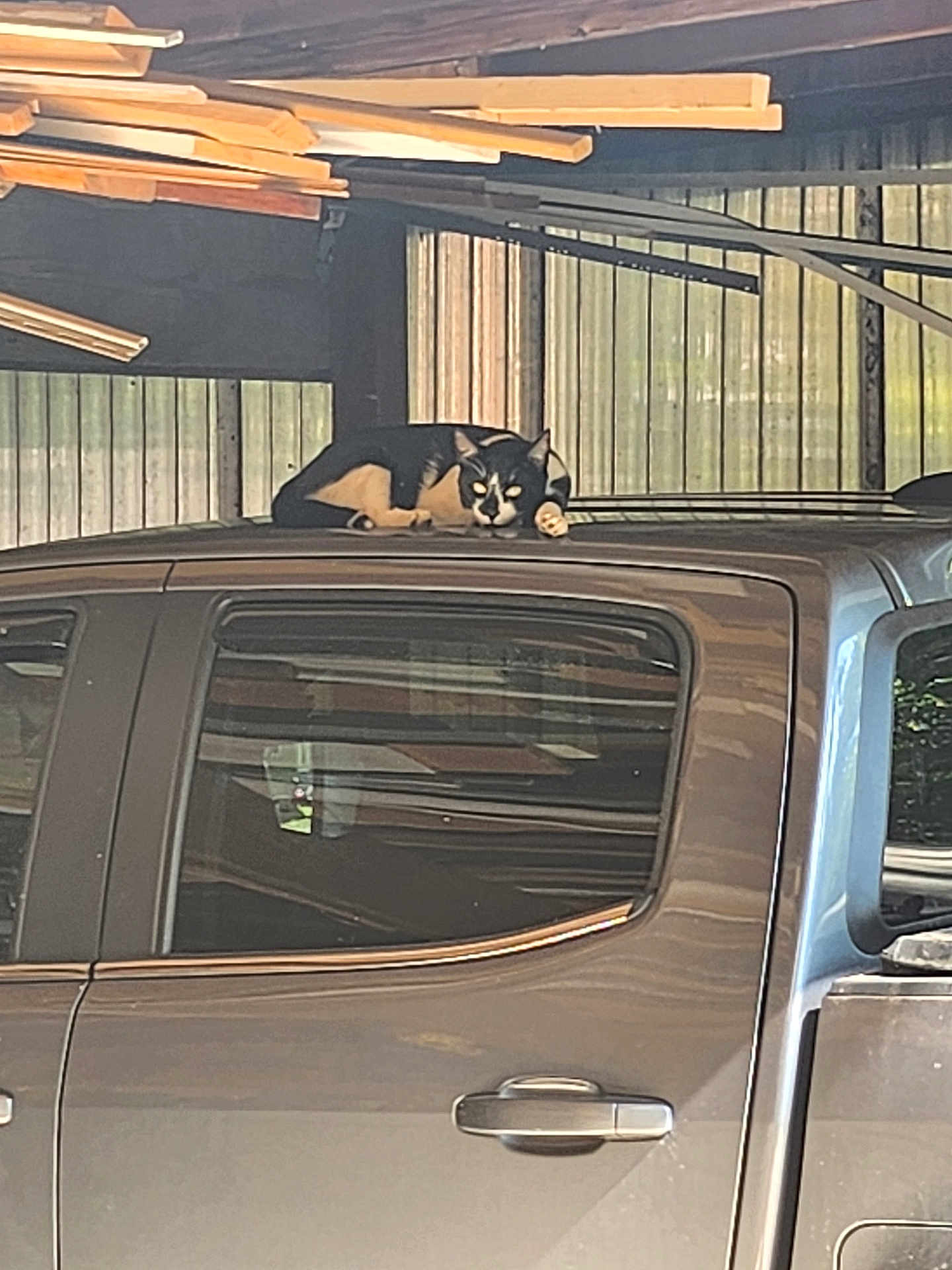 Mr.