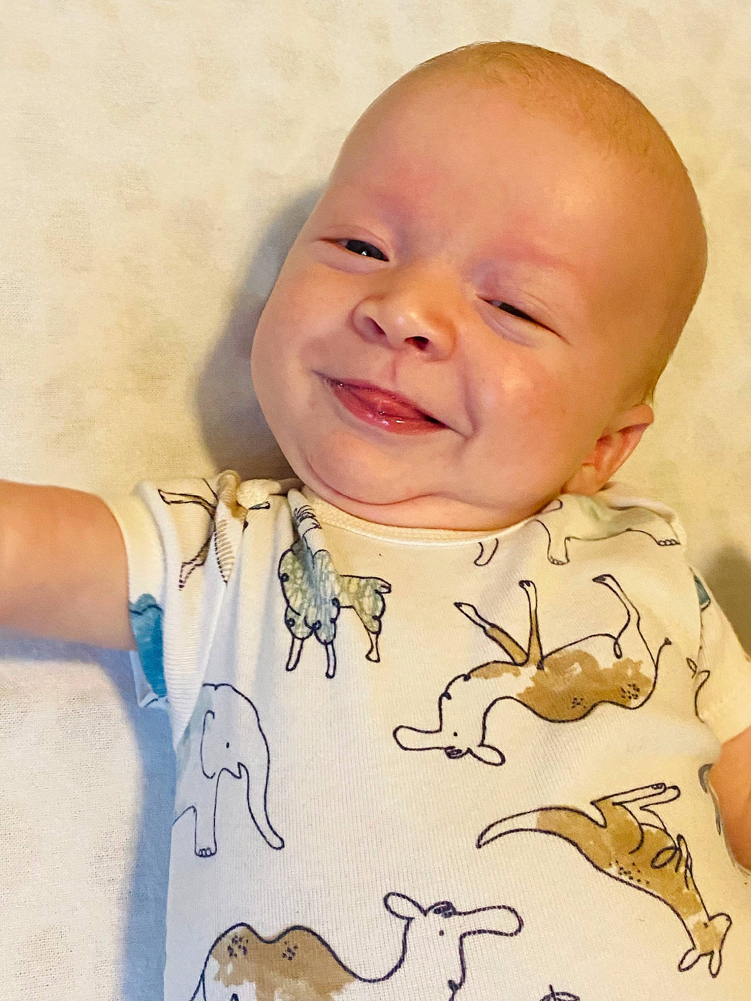 Linkin is registered to the contest to win money with this photo: baby, baby_laughing, baby_toddler_clothing, cheek, child, chin, eye, face, facial_expression, finger, gesture, happy, human_body, joy, neck, nose, person, skin, sleeve, smile