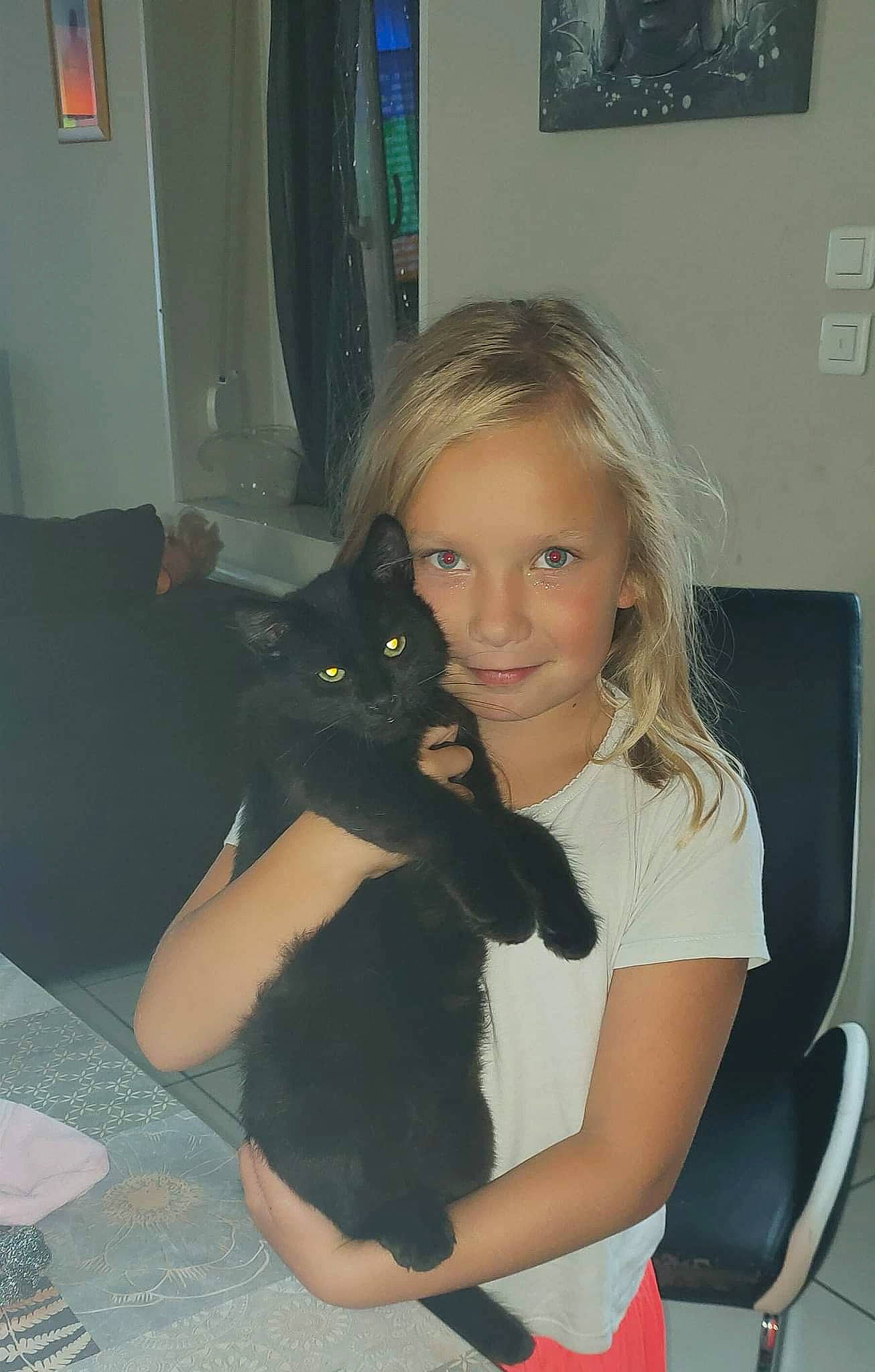 Maelya a rejoint le concours — aidez-le/la à gagner de superbes lots ! black_cat, carnivore, cat, chair, comfort, eye, felidae, fun, gesture, happy, iris, joy, lap, long_hair, person, picture_frame, shoulder, small_to_medium_sized_cats, smile, thigh