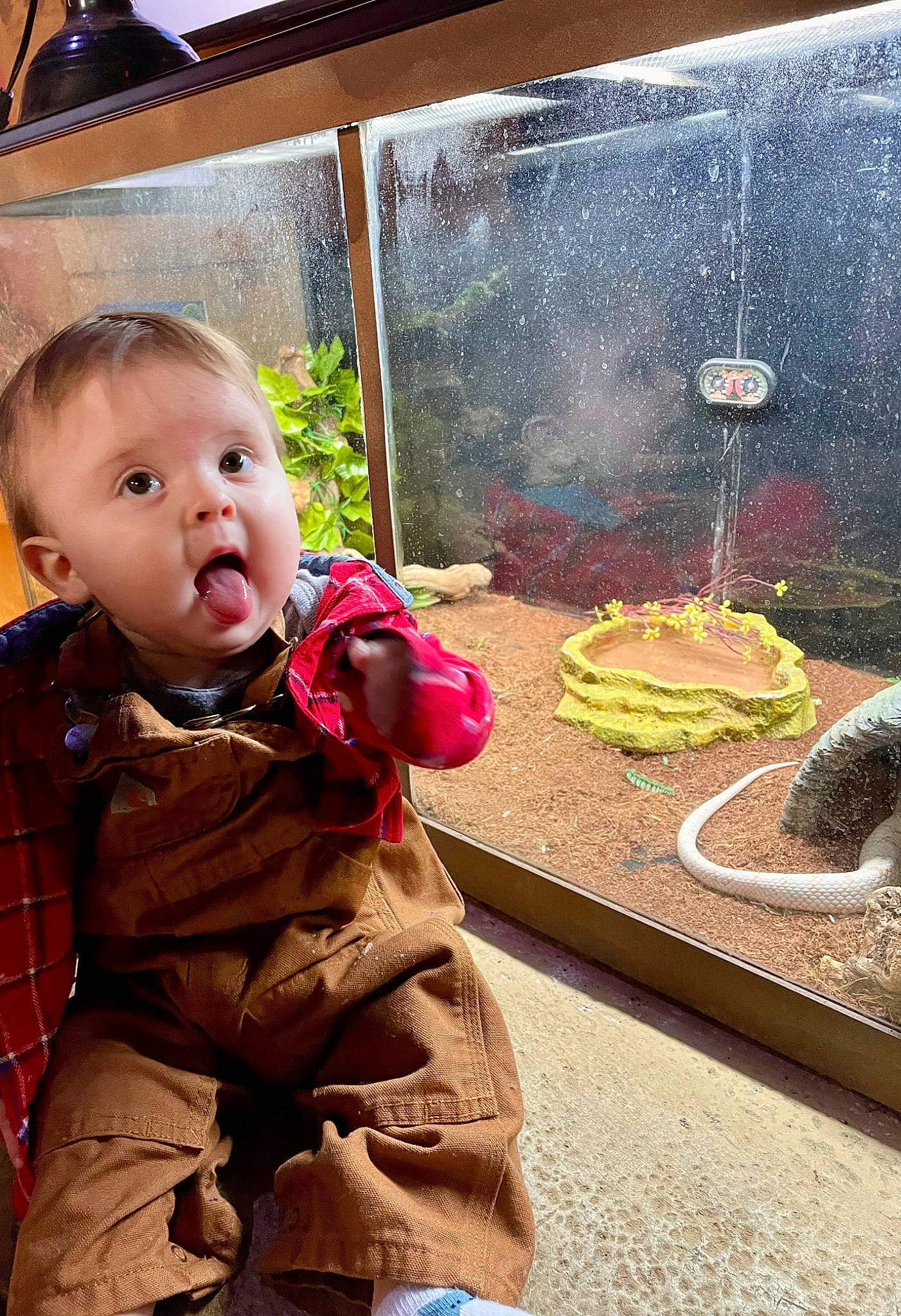 Everett joined the competition — help win amazing prizes! baby, baby_toddler_clothing, child, comfort_food, cuisine, dessert, dish, flooring, food, fun, ingredient, jacket, leisure, person, plaid, room, side_dish, sitting, surprise, sweetness