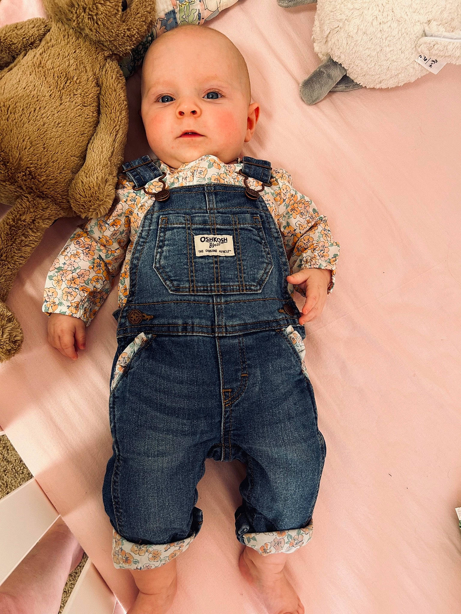 Harper is registered to the contest to win money with this photo: baby, baby_toddler_clothing, cheek, collar, doll, dress_shirt, eye, eyelash, head, iris, joint, nose, one_piece_garment, pattern, person, skin, sleeve, textile, toddler, toy