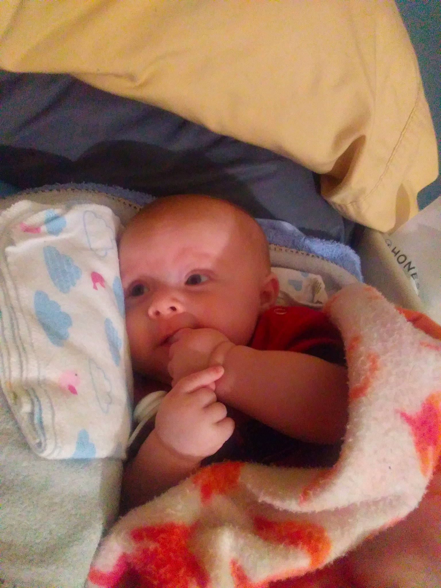 Hayley is registered to the contest to win money with this photo: baby, baby_products, baby_toddler_clothing, bedtime, carmine, cheek, child, comfort, face, flesh, head, linens, nap, person, skin, sleep, textile, thumb, toddler