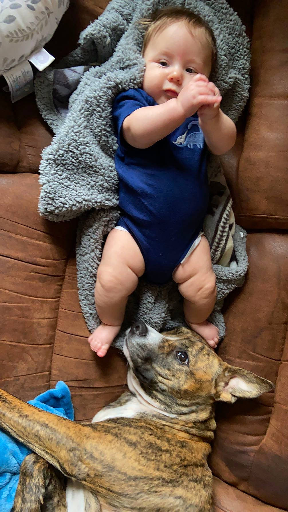 Luca joined the competition — help win amazing prizes! baby, baby_toddler_clothing, comfort, eye, fawn, felidae, human_leg, lap, leg, organ, people, person, photograph, skin, snapshot, snout, terrestrial_animal, thigh, toddler, wood