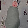 baby, infant, swaddle, headband, leopard_print, blanket, floral_pattern, numbers, lying_down, cute, adorable, child, newborn, face, portrait, soft_texture, pink, green, sleepwear, resting