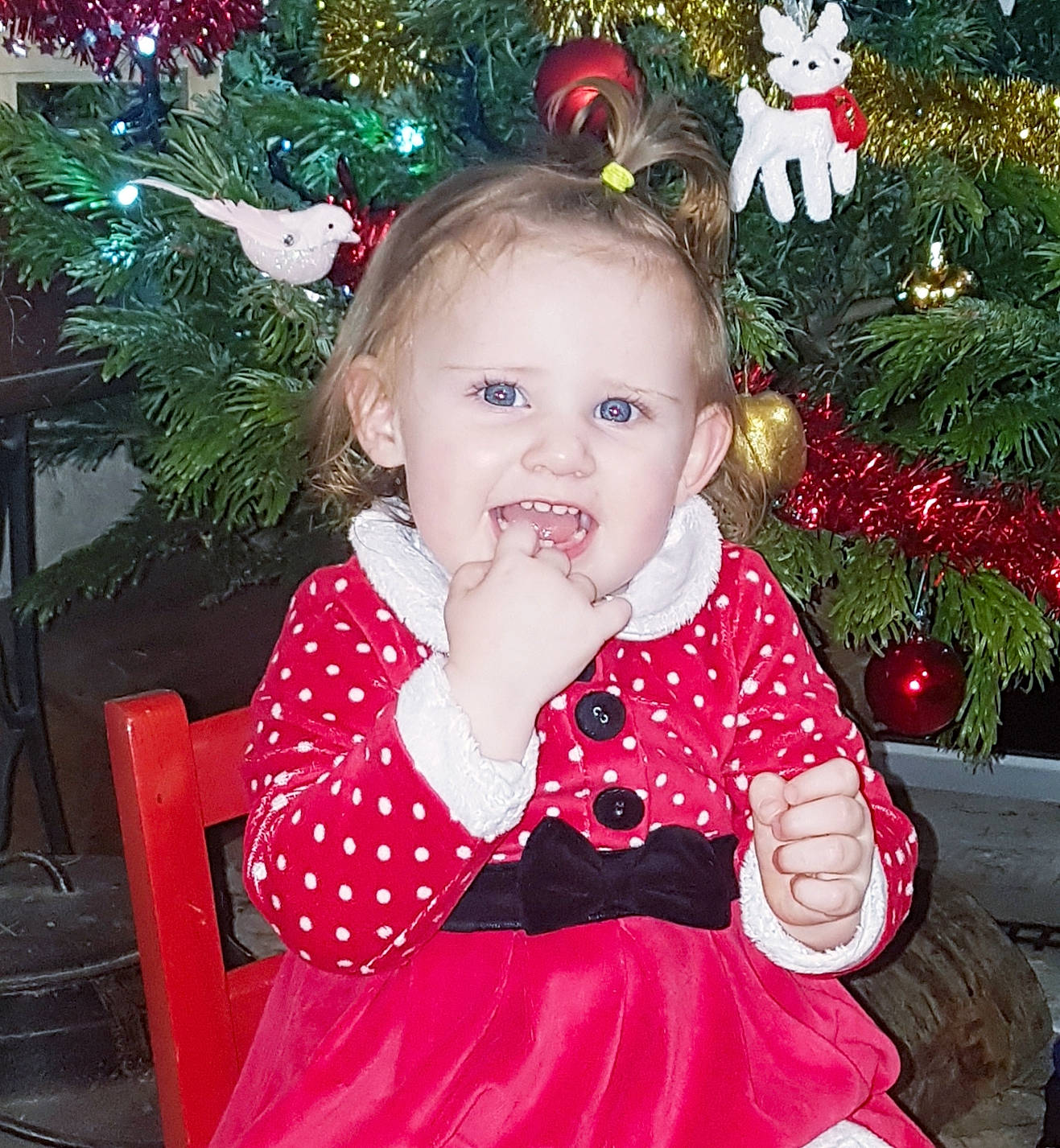 Joana participe au concours pour gagner de l'argent avec cette photo : baby_toddler_clothing, child, christmas, christmas_decoration, christmas_eve, christmas_ornament, christmas_tree, dress, event, fictional_character, happy, holiday, holiday_ornament, human_body, interior_design, ornament, pattern, person, pink, red