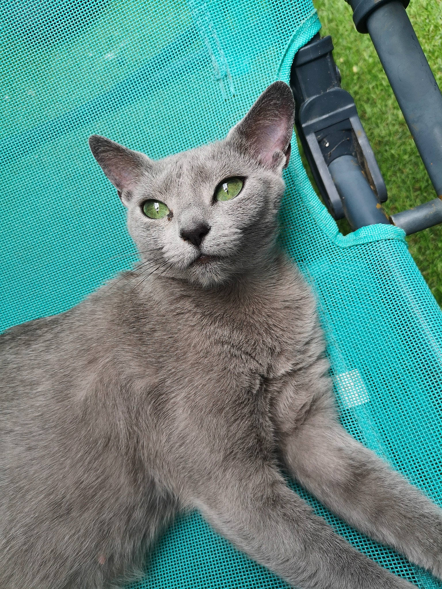 Nini