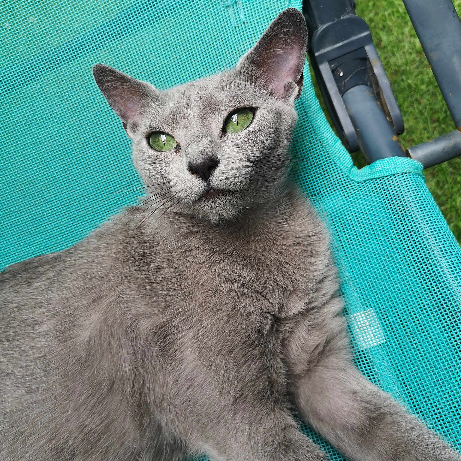 Nini