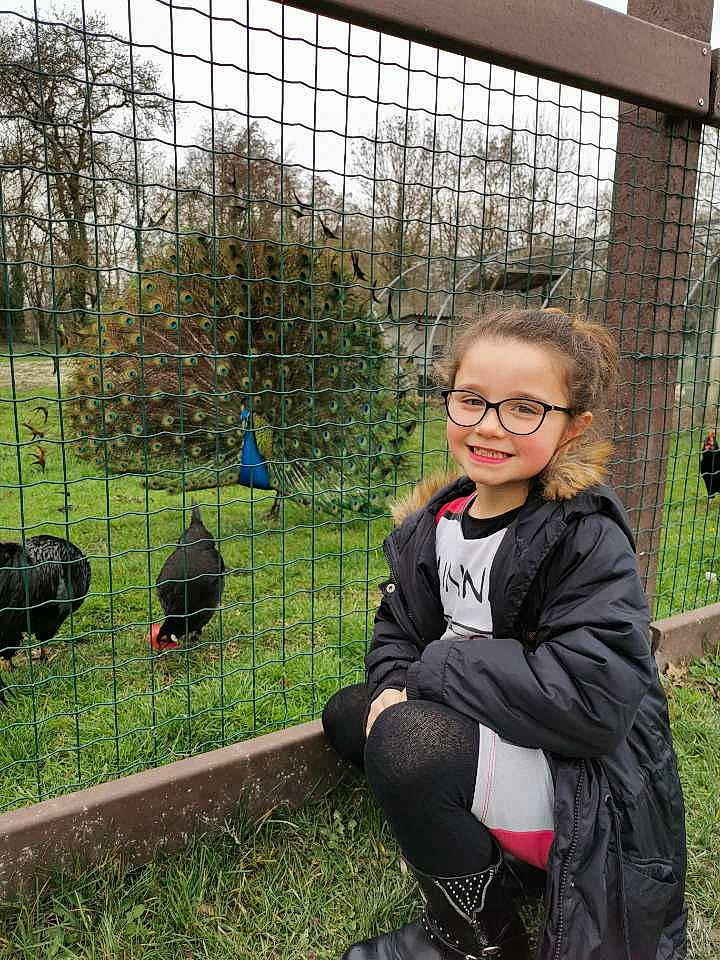 Zoèlia participe au concours pour gagner de l'argent avec cette photo : bird, chain_link_fencing, grass, joy, person, plant