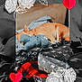 Kiki is registered to the contest to win money with this photo: dog, sleeping, plush_toy, blanket, couch, dog_bed, indoor, cozy, resting, pet, animal, furniture, decorative, heart, illustration, comfort, relaxation, cute, red, gray