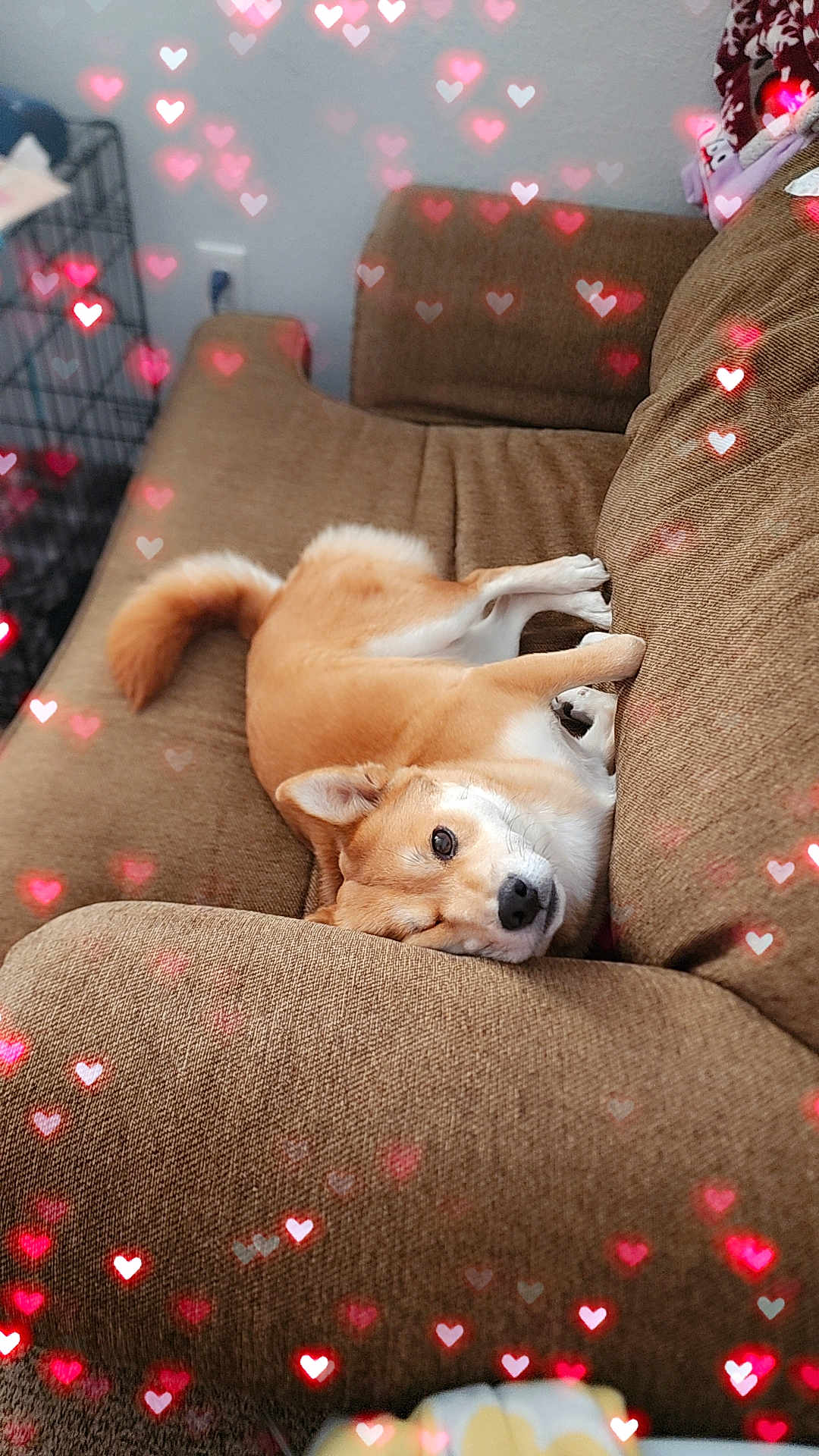 Kiki