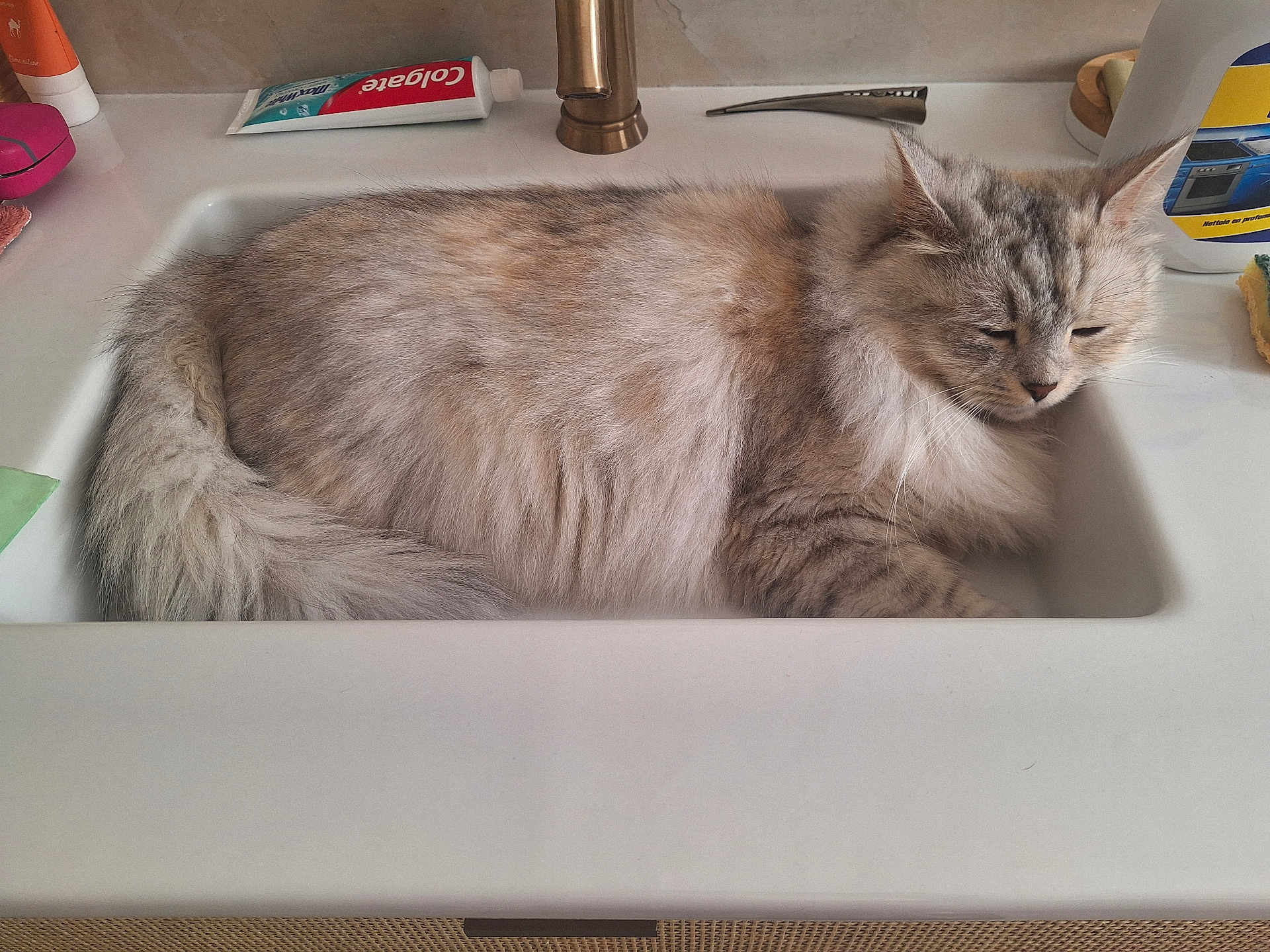 Ushka