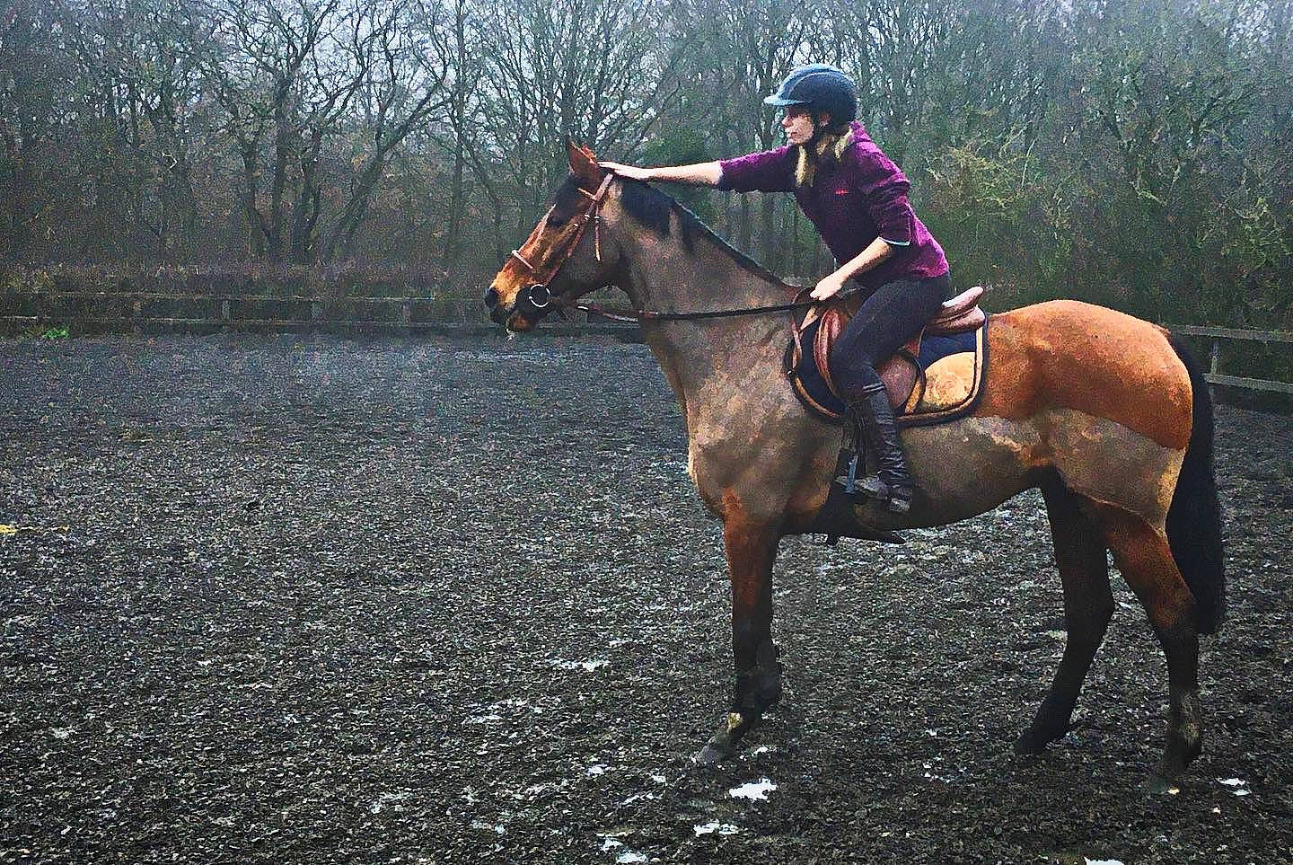 Kiwi joined the competition — help win amazing prizes! animal_sports, bridle, equestrian_sport, equestrianism, halter, horse, horse_harness, horse_supplies, horse_tack, horse_trainer, jockey, mammal, mane, mare, outdoor_recreation, recreation, rein, saddle, stallion, vertebrate