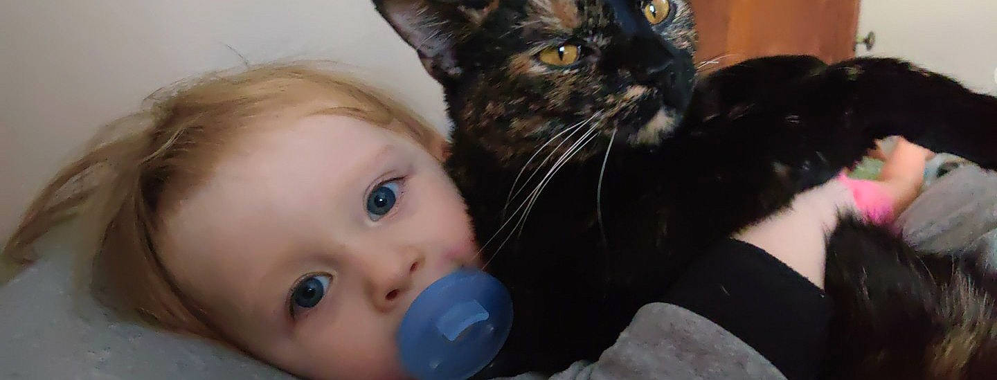 Ember joined the competition — help win amazing prizes! baby, carnivore, cat, cheek, child, domestic_short_haired_cat, ear, eye, felidae, fur, iris, kitten, mouth, nose, organ, person, polydactyl_cat, skin, small_to_medium_sized_cats, toddler