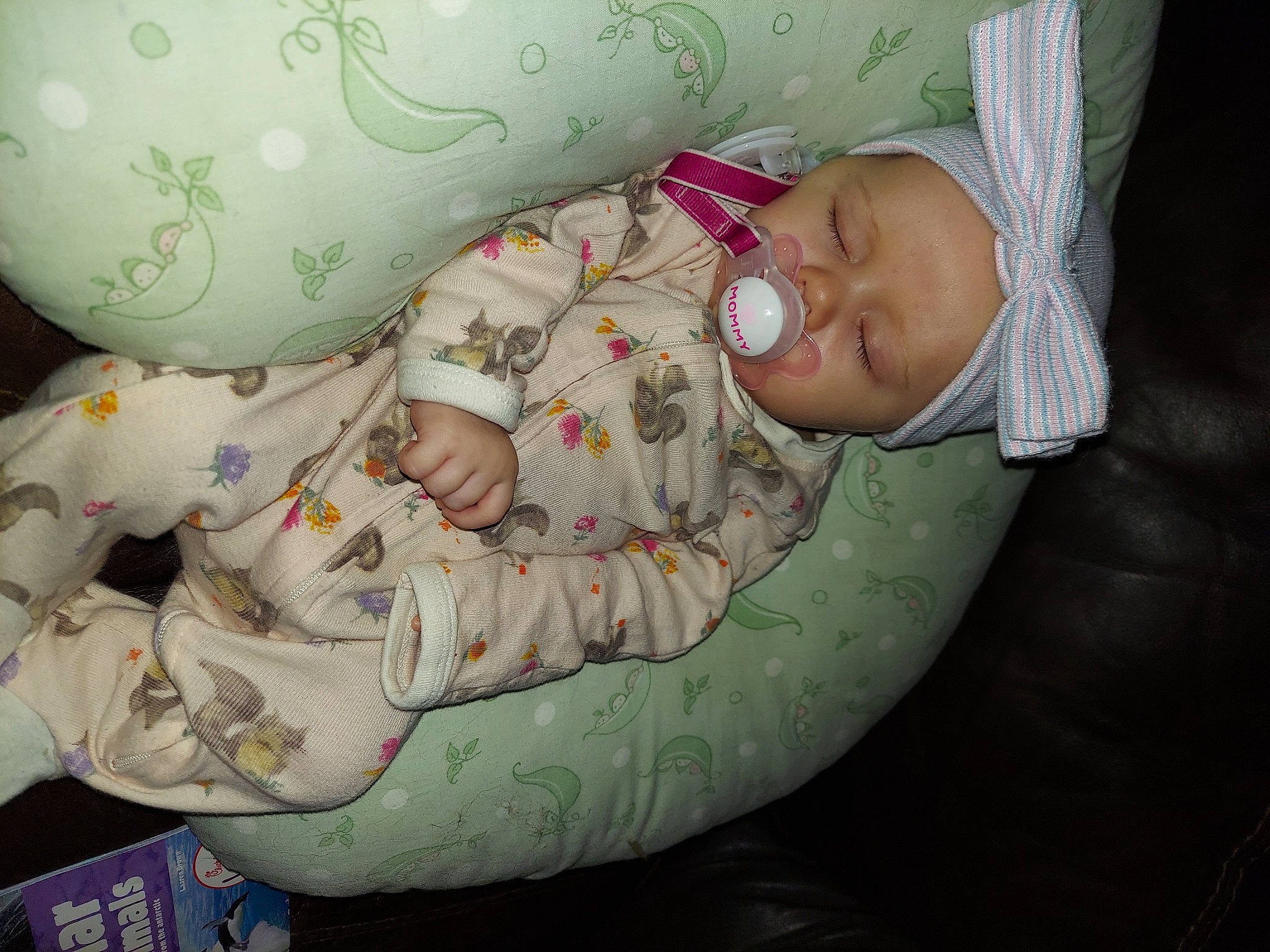 Artemis joined the competition — help win amazing prizes! baby, baby_sleeping, bedtime, birth, cheek, child, comfort, headwear, nap, person, skin, sleep, smile, toddler