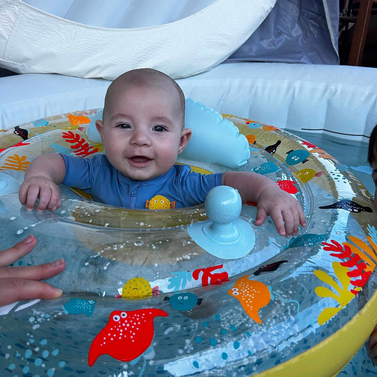 Eden participe au concours pour gagner de l'argent avec cette photo : baby, blue_clothing, child, colorful, cute, face, floatation_device, fun, hand, indoor_pool, infant, inflatable_ring, person, playful, pool, safety, smiling, swimming, toy, water