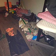 Ki Ki is registered to the contest to win money with this photo: comfort, darkness, floor, flooring, fun, hardwood, human_leg, laminate_flooring, living_room, night, pattern, plywood, room, sitting, tints_and_shades, wood, wood_flooring, wood_stain