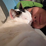 Luna joined the competition — help win amazing prizes! person, cat, close_up, snuggling, bed, pillow, white_cat, indoor, face, affection, cozy, relaxing, sleeping_cat, human_face, pet, companion, resting, feline, animal, cute