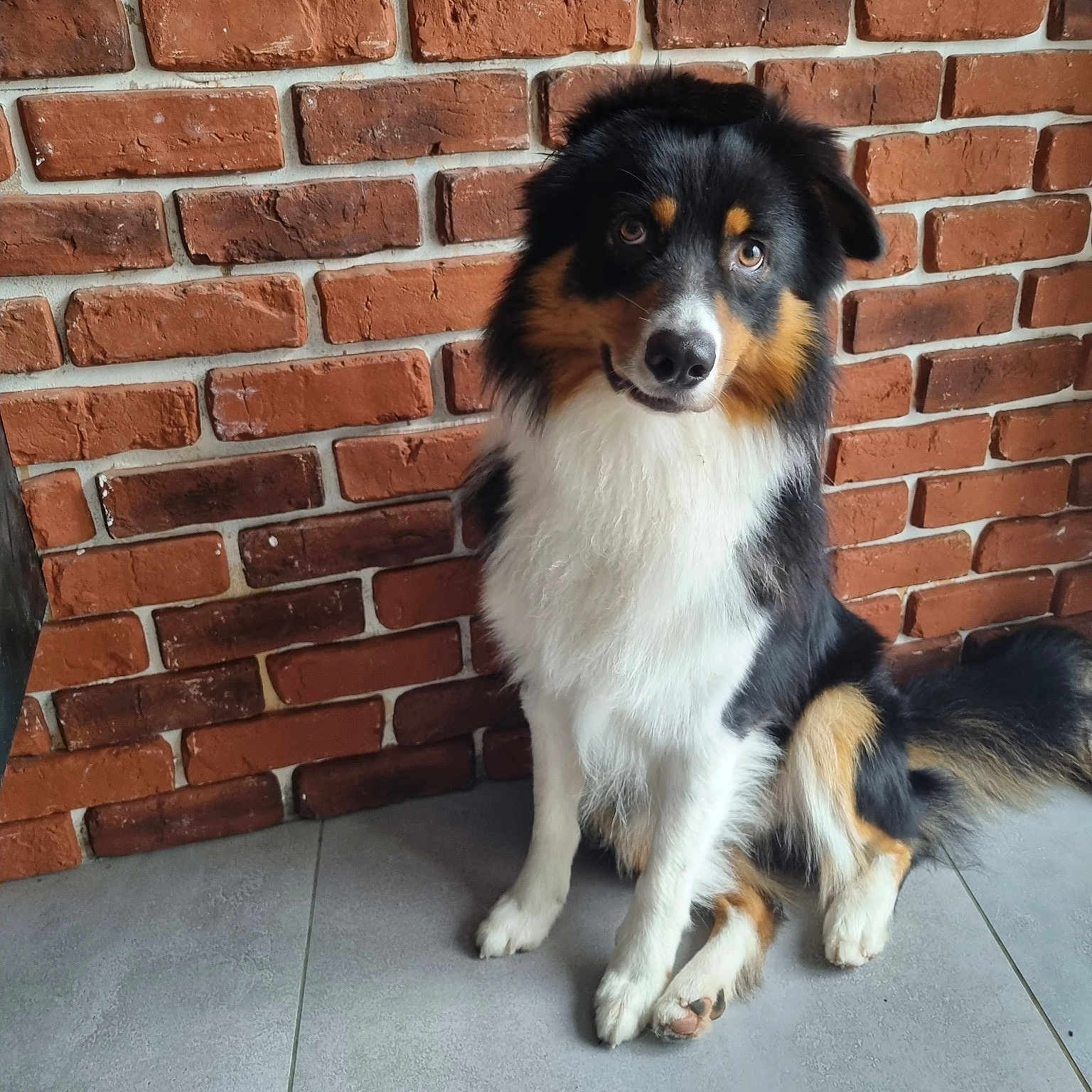 Tango