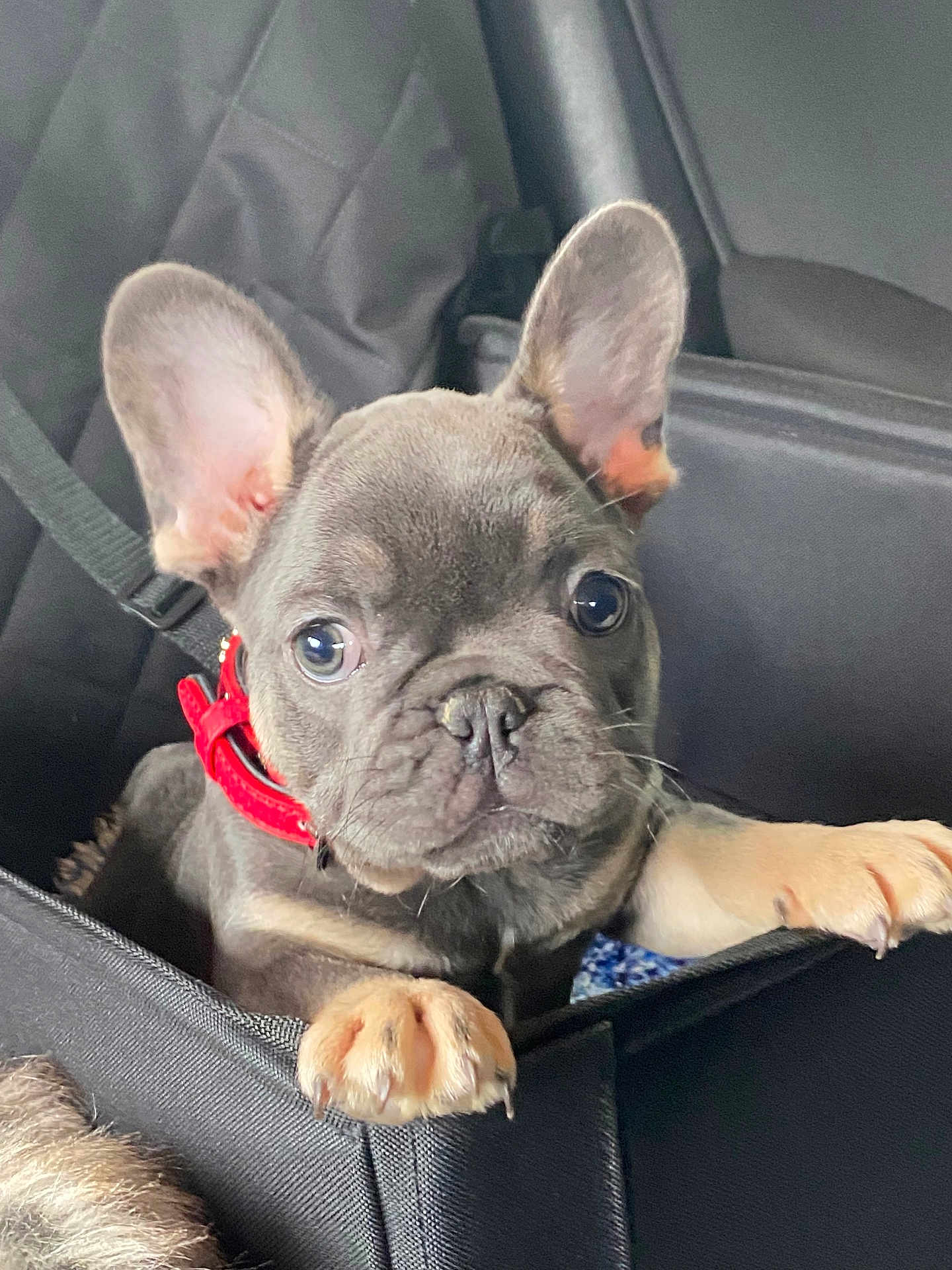 Stanley