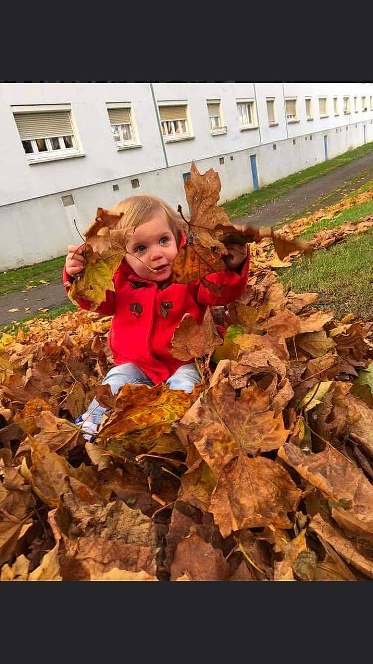 Shannône a rejoint le concours — aidez-le/la à gagner de superbes lots ! agriculture, autumn, child, deciduous, fun, garden, grass, happy, landscape, people_in_nature, person, plant, rock, soil, toddler, toy, window, wood