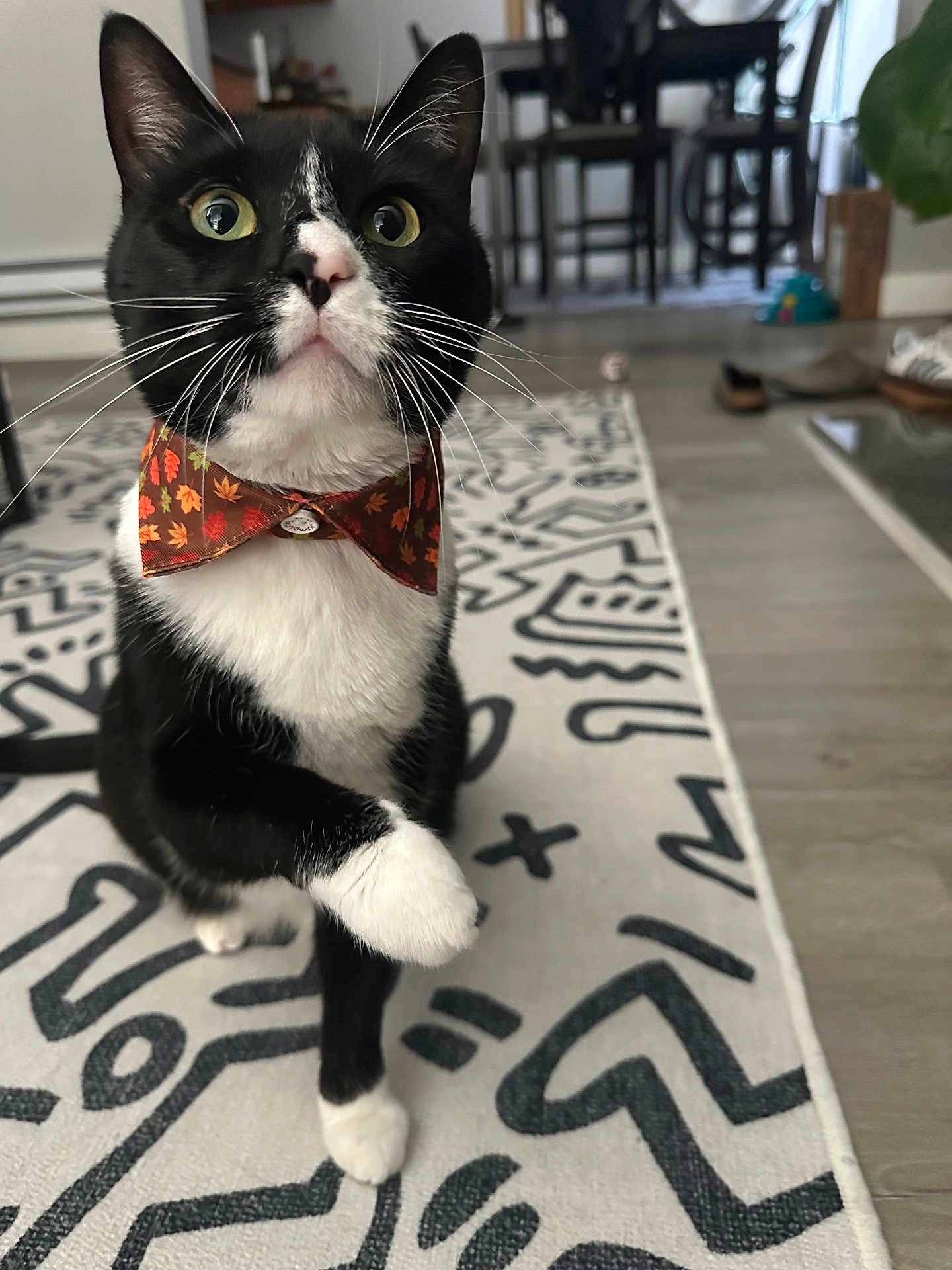 Kylo