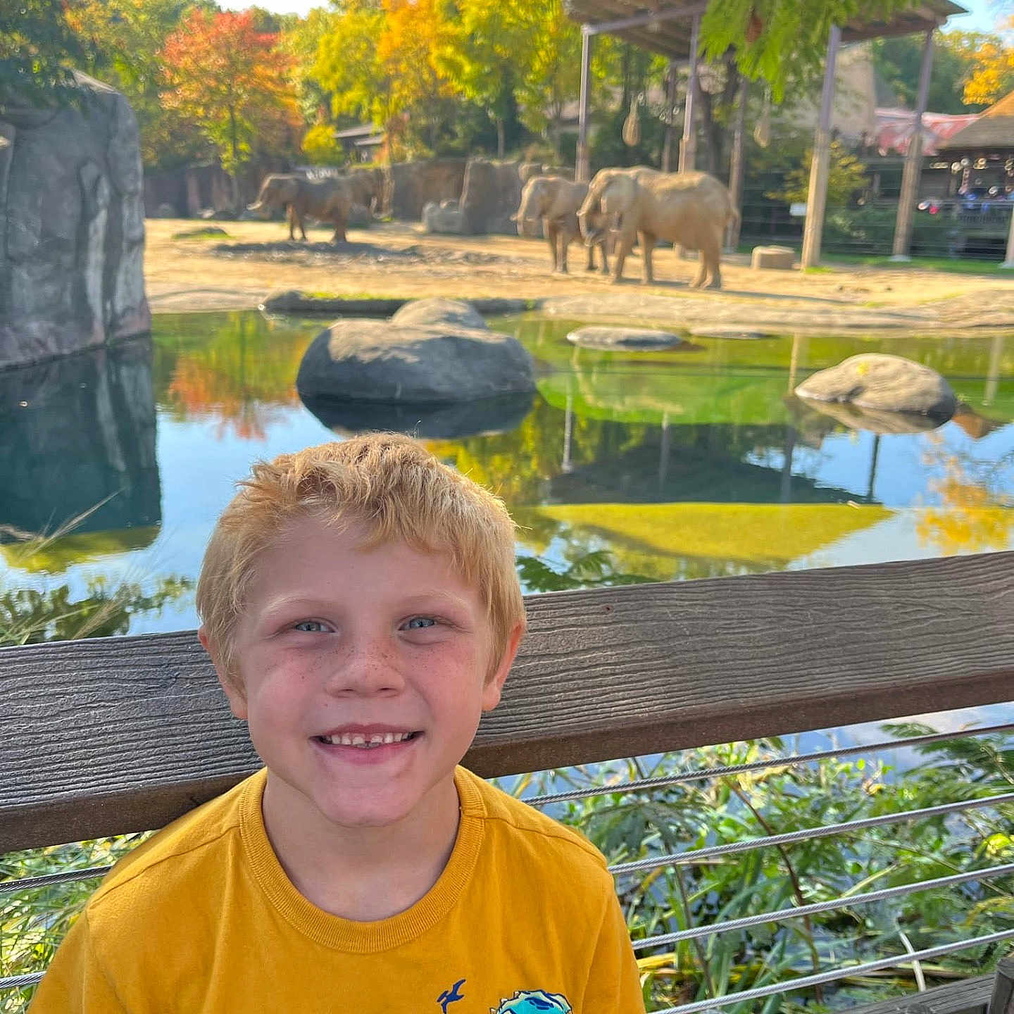 Callen joined the competition — help win amazing prizes! animal, clothing, face, grass, head, nature, outdoors, park, person, photography, plant, pond, portrait, pottedplant, rock, t_shirt, tree, vegetation, water, zoo