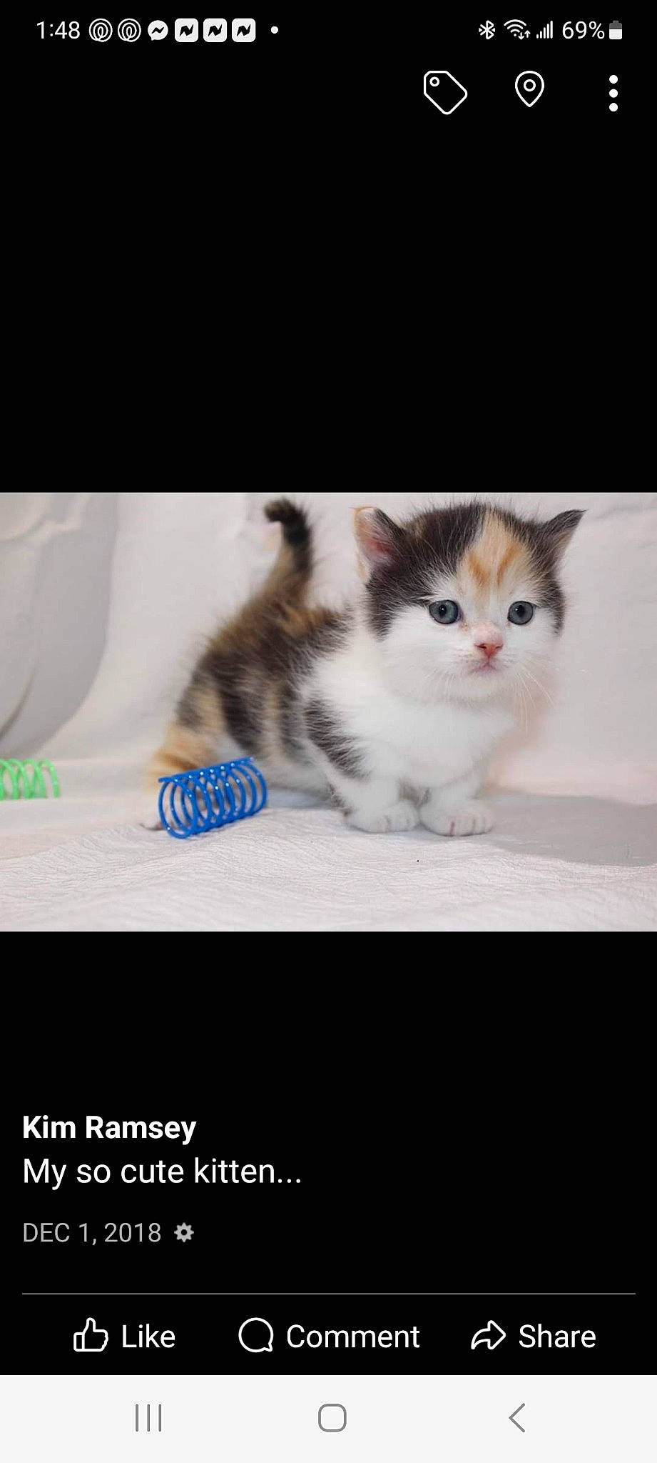 Purdy is registered to the contest to win money with this photo: box, brand, carnivore, cat, domestic_short_haired_cat, felidae, font, fur, paw, pet_supply, photo_caption, rectangle, small_to_medium_sized_cats, snout, tail, whiskers