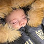 baby, sleeping, fur_hood, winter_jacket, zipper, closed_eyes, face, child, warm_clothing, black_strap, soft_fur, bundle, cute, peaceful, portrait, closeup, infant, cozy, outdoor_gear, head_covered