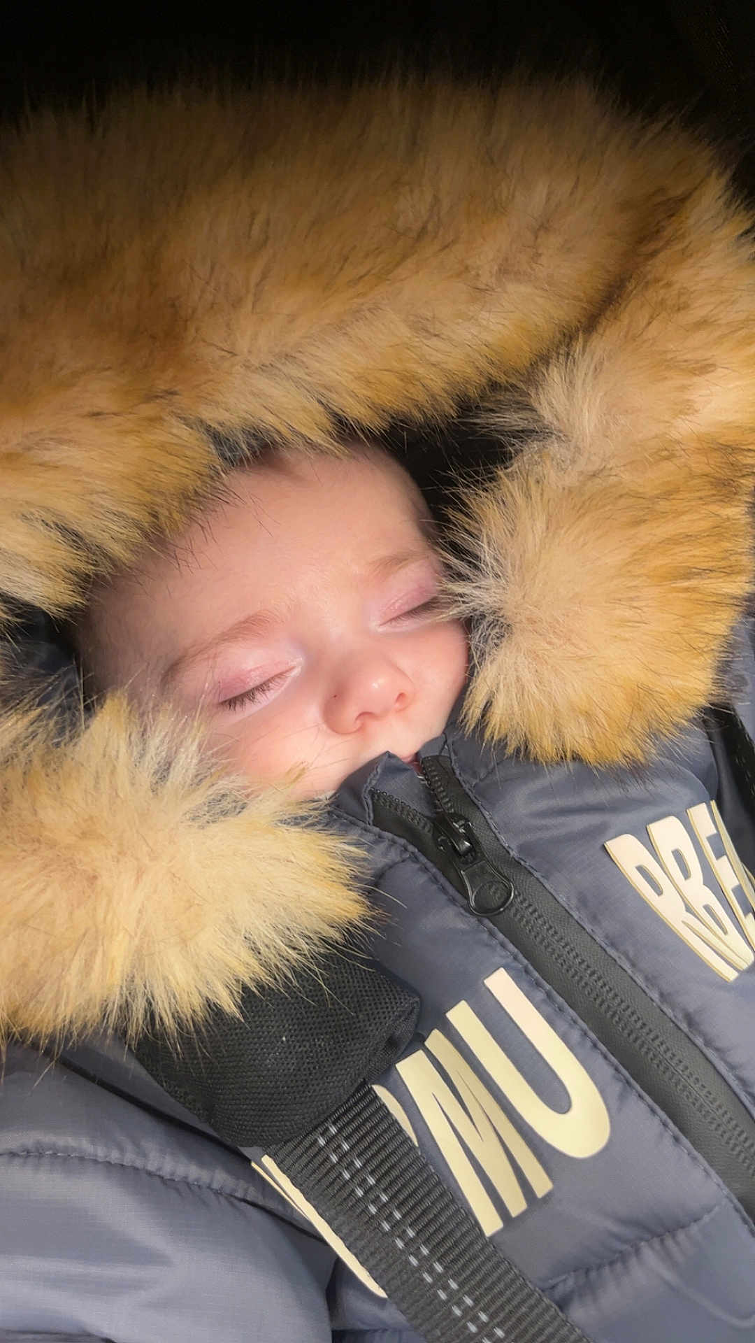 Soa a rejoint le concours — aidez-le/la à gagner de superbes lots ! baby, sleeping, fur_hood, winter_jacket, zipper, closed_eyes, face, child, warm_clothing, black_strap, soft_fur, bundle, cute, peaceful, portrait, closeup, infant, cozy, outdoor_gear, head_covered