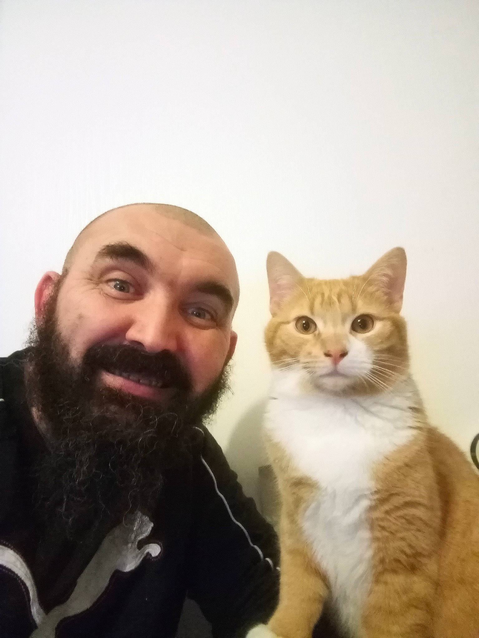 Sony a rejoint le concours — aidez-le/la à gagner de superbes lots ! beard, carnivore, cat, domestic_short_haired_cat, facial_hair, felidae, formal_wear, fur, gesture, happy, jaw, moustache, paw, selfie, sitting, small_to_medium_sized_cats, smile, tail, whiskers