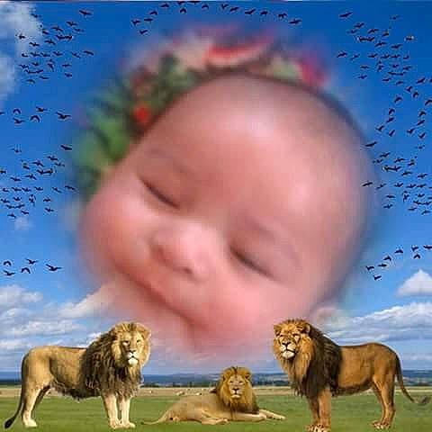 Jesus is registered to the contest to win money with this photo: big_cats, carnivoran, cat_like_mammal, child, face, fauna, grass, head, lion, mammal, organism, person, photomontage, snout, whiskers, wildlife