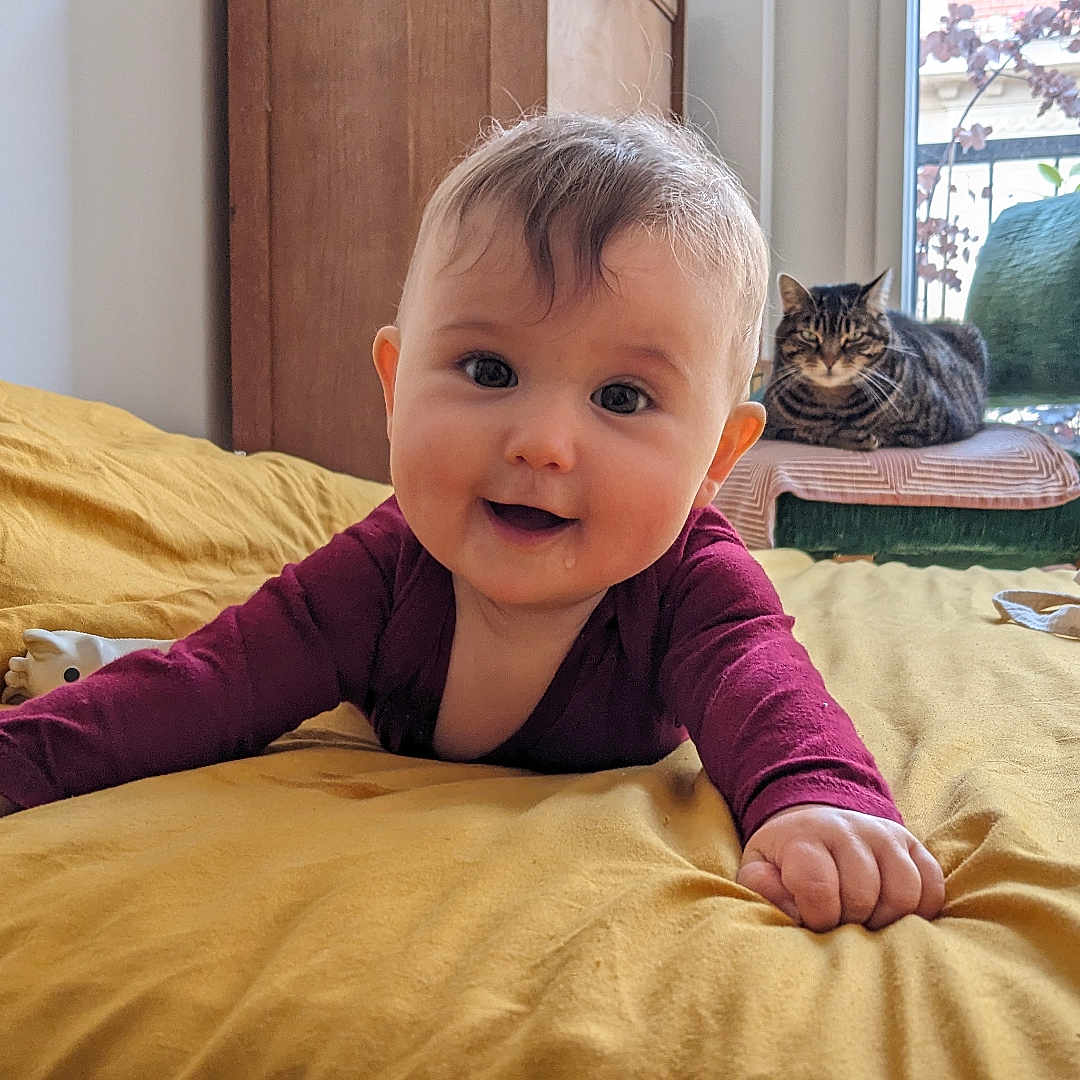 Augustine participe au concours pour gagner de l'argent avec cette photo : baby, bed, blanket, cat, chair, curtain, cute, daylight, drool, furniture, green_chair, indoor, infant, maroon_clothing, person, relaxed, smiling, tabby_cat, window, yellow_bedspread