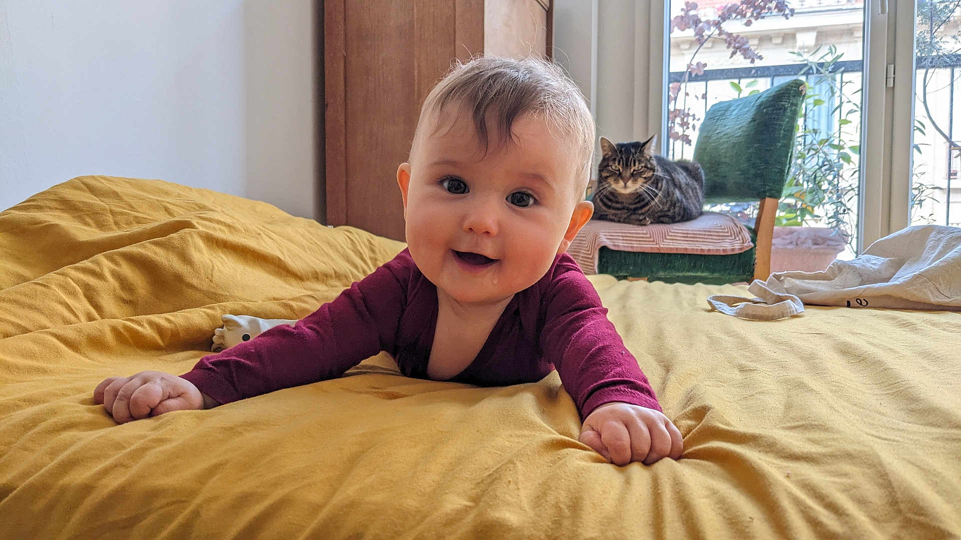 Augustine participe au concours pour gagner de l'argent avec cette photo : baby, infant, smiling, bed, blanket, cat, chair, window, indoor, furniture, curtain, person, cute, drool, maroon_clothing, tabby_cat, green_chair, yellow_bedspread, relaxed, daylight