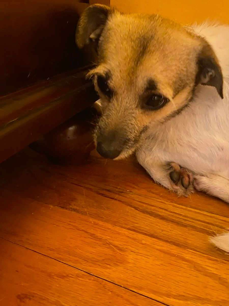 Tucker