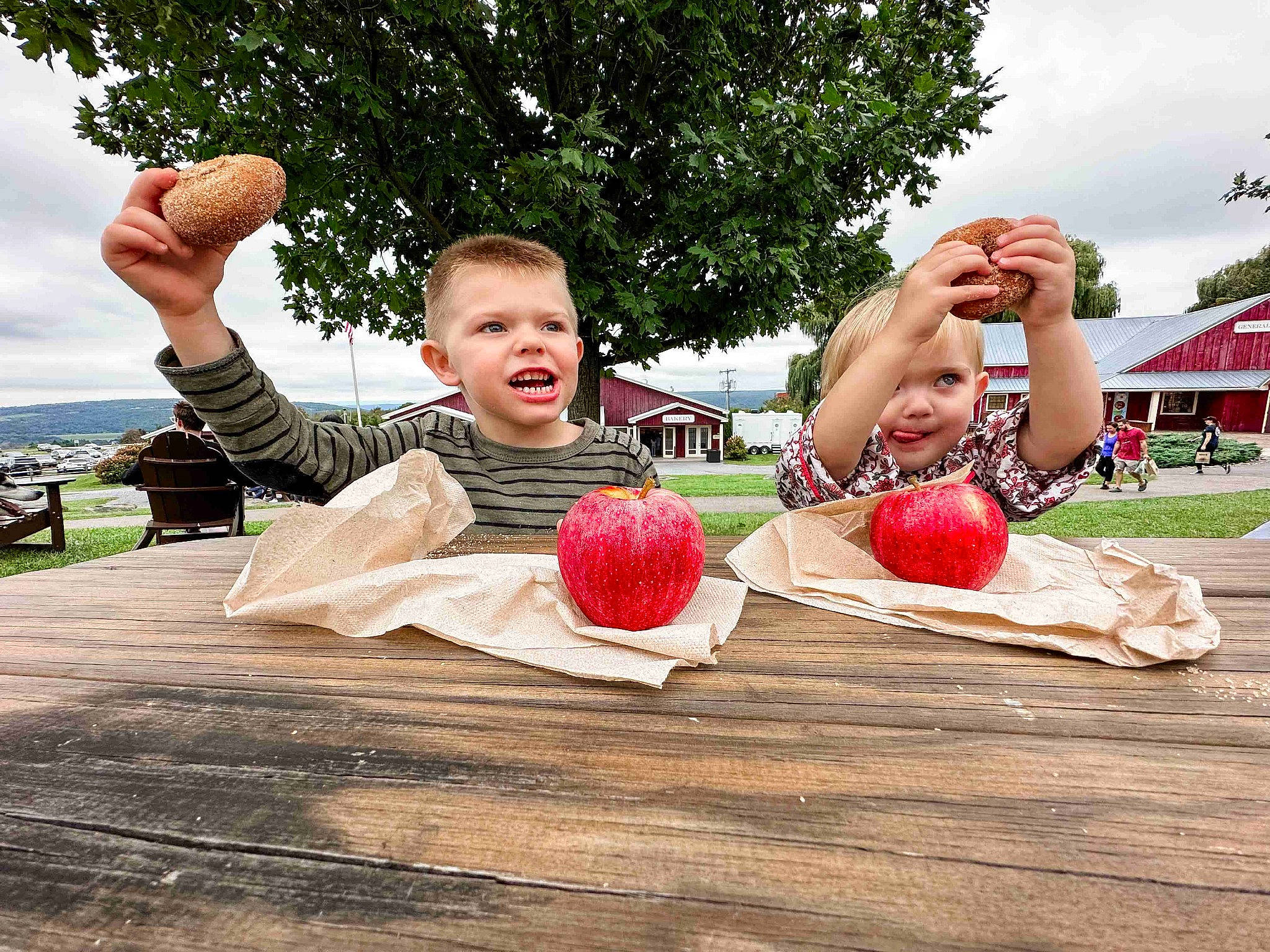 Graeson is registered to the contest to win money with this photo: arm, finger, food, fruit, fun, gesture, grass, hand, happy, human_body, leisure, natural_foods, people_in_nature, person, plant, sky, smile, strawberry, table, tableware