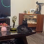 black_cat, cat, coffee_table, emmy_award, living_room, wooden_floor, cabinet, glassware, sculpture, television, vase, flowers, decor, furniture, indoor, flooring, statue, tabletop, pet, animal