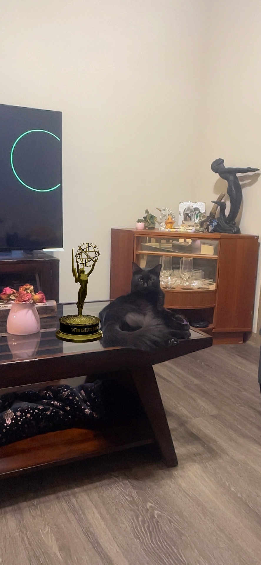 Mishka Salem Aep joined the competition — help win amazing prizes! black_cat, cat, coffee_table, emmy_award, living_room, wooden_floor, cabinet, glassware, sculpture, television, vase, flowers, decor, furniture, indoor, flooring, statue, tabletop, pet, animal